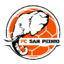 San Pedro FC